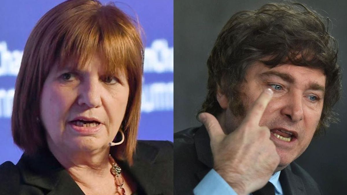 Patricia Bullrich cruzó a Javier Milei: Tiene que reemplazar los insultos por propuestas (Foto: archivo)