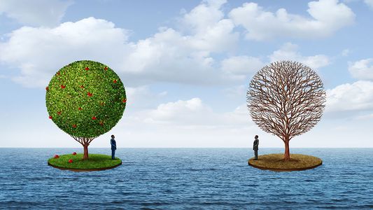 Divergencia creciente: se ahondan las brechas en la recuperación mundial