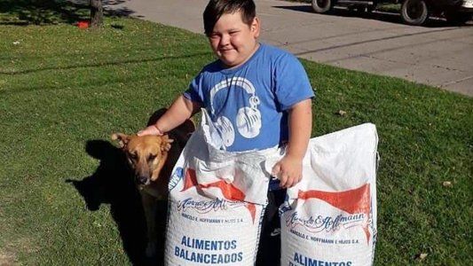 Un nene de 5 años organizó una rifa para comprarles comida a los perros abandonados de su ciudad