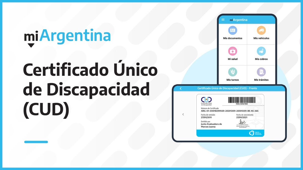 AtenciÓn Certificado Único De Discapacidad ¿qué Discapacidades Entran