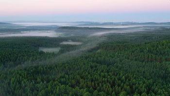 Impresionante: así es el bosque artificial más grande del mundo
