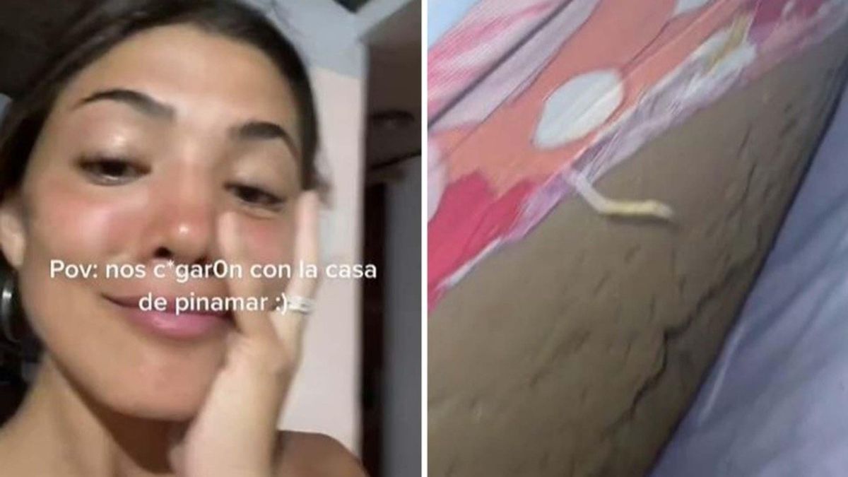 Pinamar: alquilaron una casa y quedó indignada por el estado de la propiedad