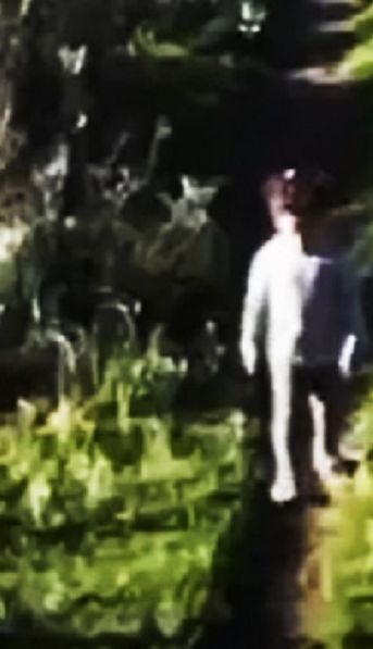 En qué estado encontraron a la nena de 3 años que fue rescatada tras perderse en un campo en La Pampa