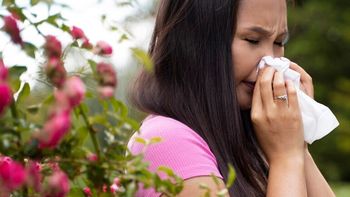 Cómo combatir las alergias en primavera con remedios caseros.
