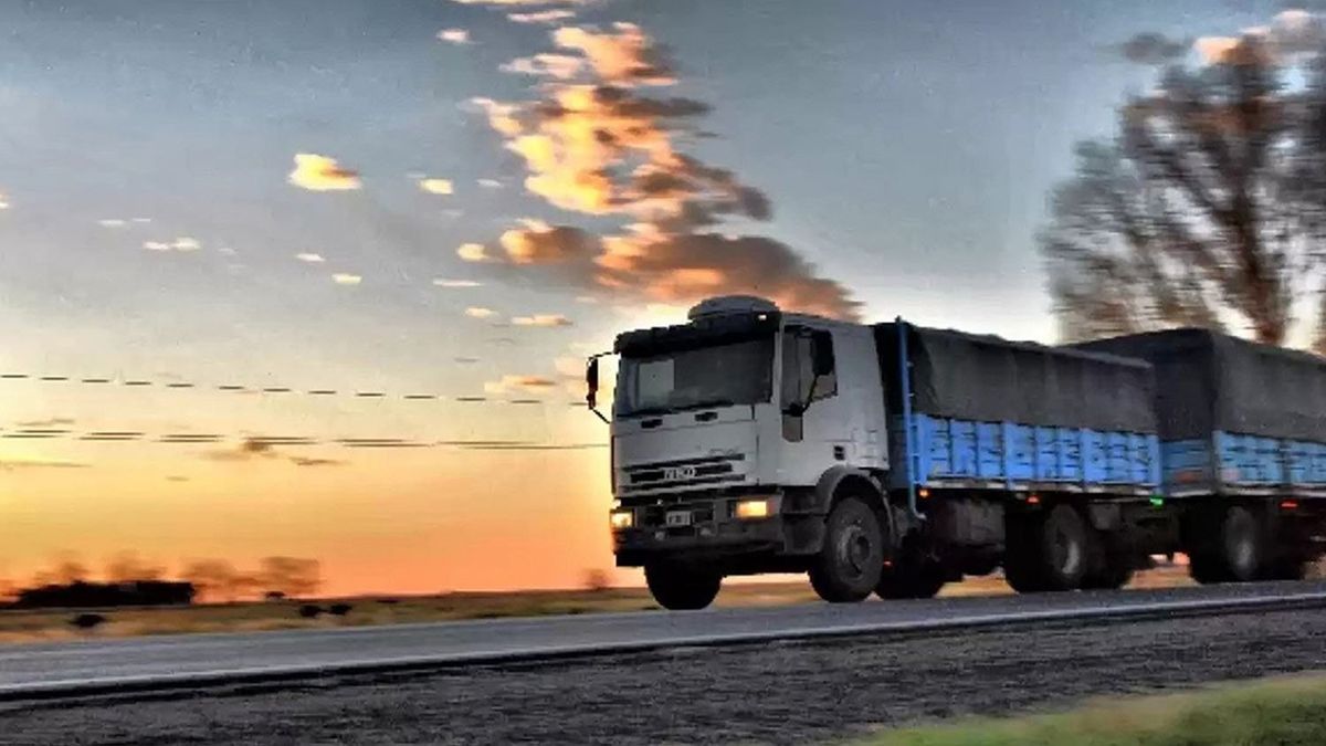 Horror en Neuquén: intento matar a su hija de 2 años empujandola a la ruta mientras pasaba un camión