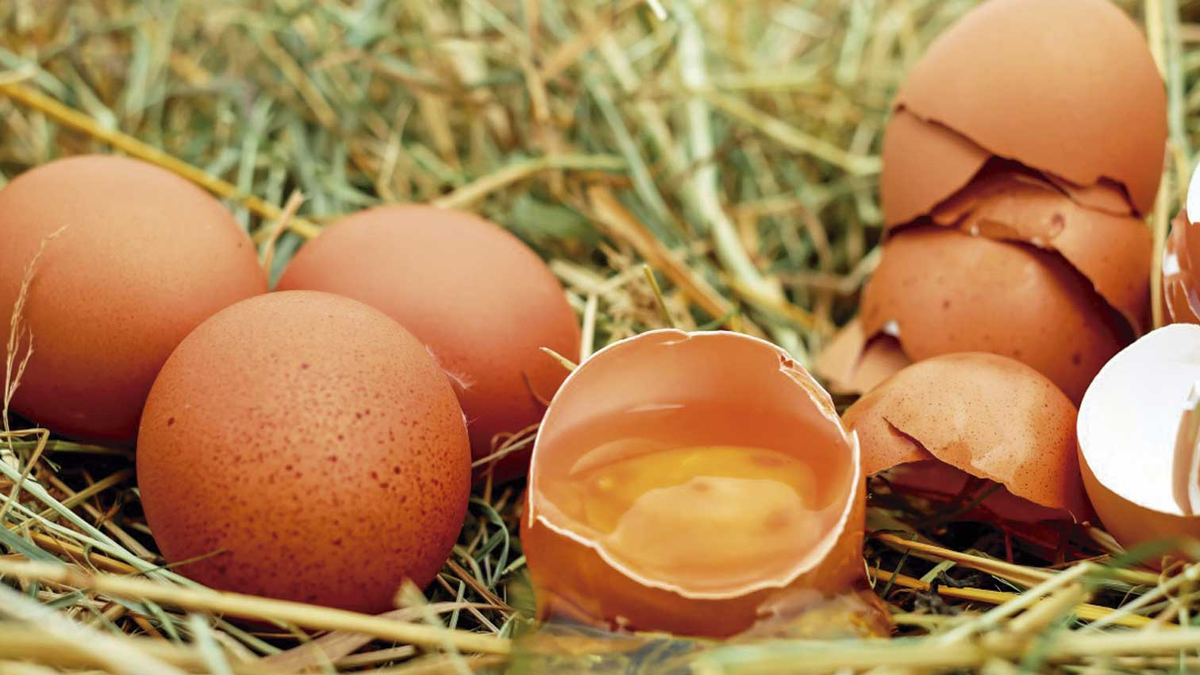 Cómo saber si un huevo tiene Salmonella