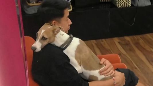 El video del nuevo y peligroso accidente de Arturo en Gran Hermano que conmocionó a toda la casa