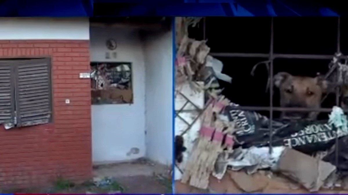 La noticia se dio a conocer luego de que un grupo de vecinos hiciera la denuncia. Foto: captura de Tv.&nbsp;