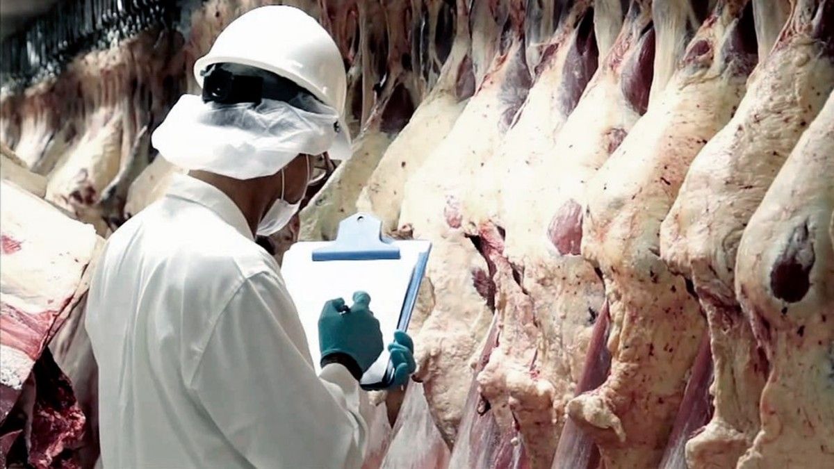 El Gobierno prorrogó hasta el 31 de octubre los cupos de exportación de carne vacuna.