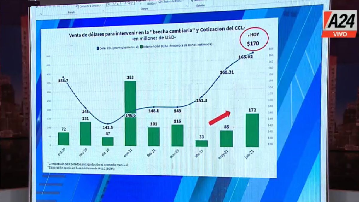 El BCRA intervino para achicar la brecha cambiaria del dólar oficial con los alternativos y evitar una crisis en la economía (Foto: Captura de TV)