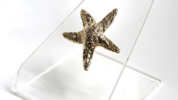 Todos los ganadores de los premios Estrella de Mar