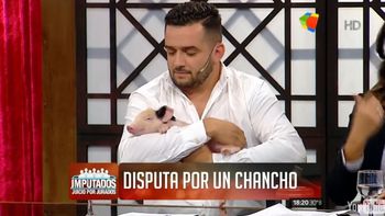 Escándalo por la tenencia de un chancho en una pareja de divorciados