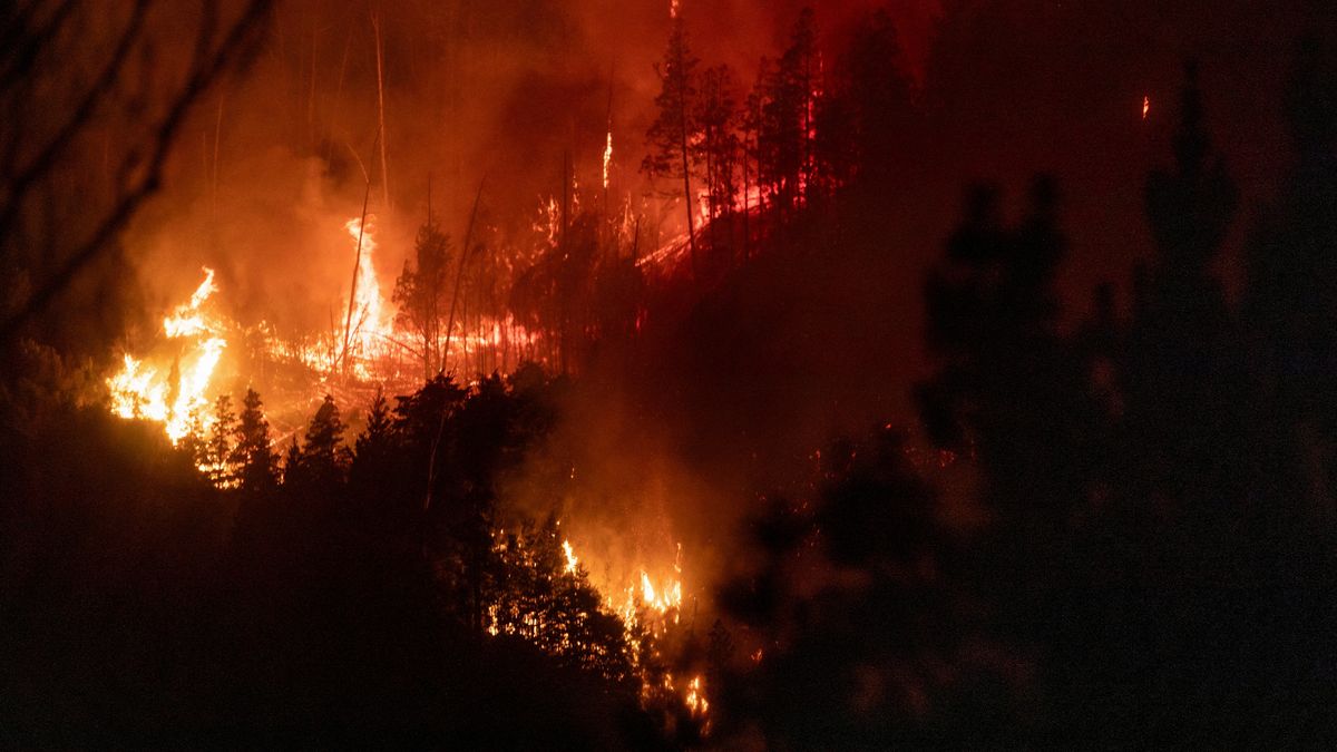 Im&aacute;genes del incendio que sacudi&oacute; a la zona del lago de Epuy&eacute;n a inicios de enero. (Foto: Reuters).