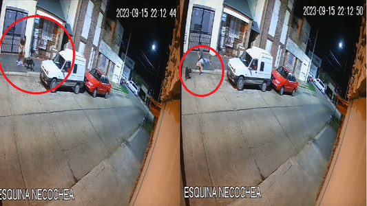 Un hombre golpeó brutalmente a su perra porque hizo caer a su hija y quedó grabado