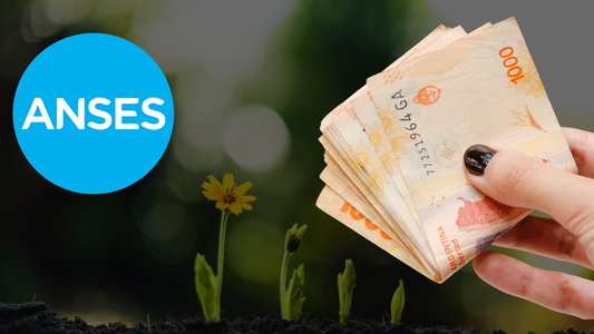 Ajuste previsional 2025: el impacto en jubilados y asignaciones