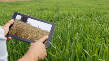La brecha productiva: una oportunidad de mejora para el campo argentino