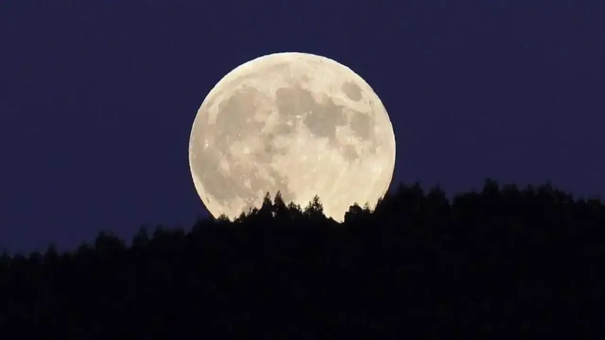 Estalló la Luna intensa del fin de semana: los 5 signos más afectados por  el impacto emocional