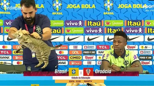 Maltrato animal a un gato en la conferencia de prensa de Vinicius Júnior de Brasil