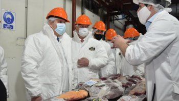 Advierten que podría aumentar la carne por el impacto del Covid-19 en la industria frigorífica