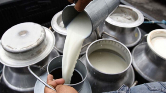 Luz de alerta en el tablero de control del tambo: el precio del kg de soja ya supera el valor del litro de leche