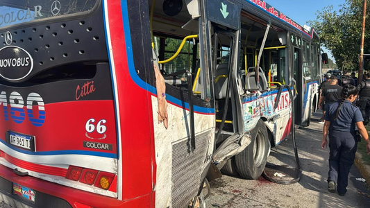 Impactante video del brutal choque de un camión y un colectivo: hay 2 muertos y una víctima mutilada