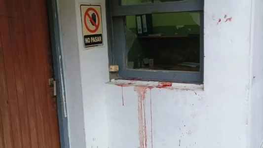 Detuvieron a una mujer que destrozó una morgue tras pedir el cuerpo de un familiar que murió hace 29 años