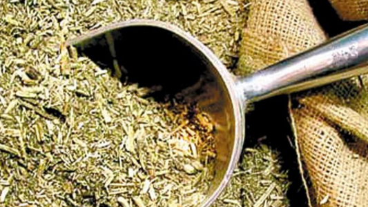 Industrias yerbateras reclaman salir de Precios Máximos: Estamos en una situación muy peligrosa