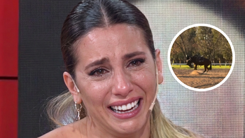Dramático momento para Cinthia Fernández: su hija cayó de un caballo y ella salió corriendo desesperada