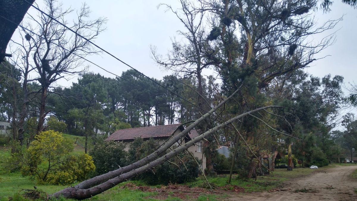 El Servicio Meteorológico Nacional (SMN) mantiene para las próximas horas la alerta amarilla por lluvias intensas y fuertes vientos