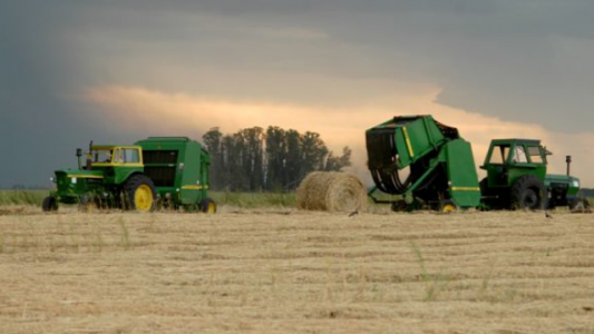 Carne en fierros, del peso al dólar productivo.