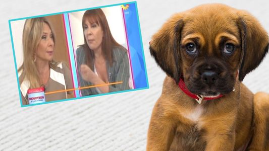 Matilda Blanco: El de Evelyn fue un comentario confuso que no suma, básicamente resta