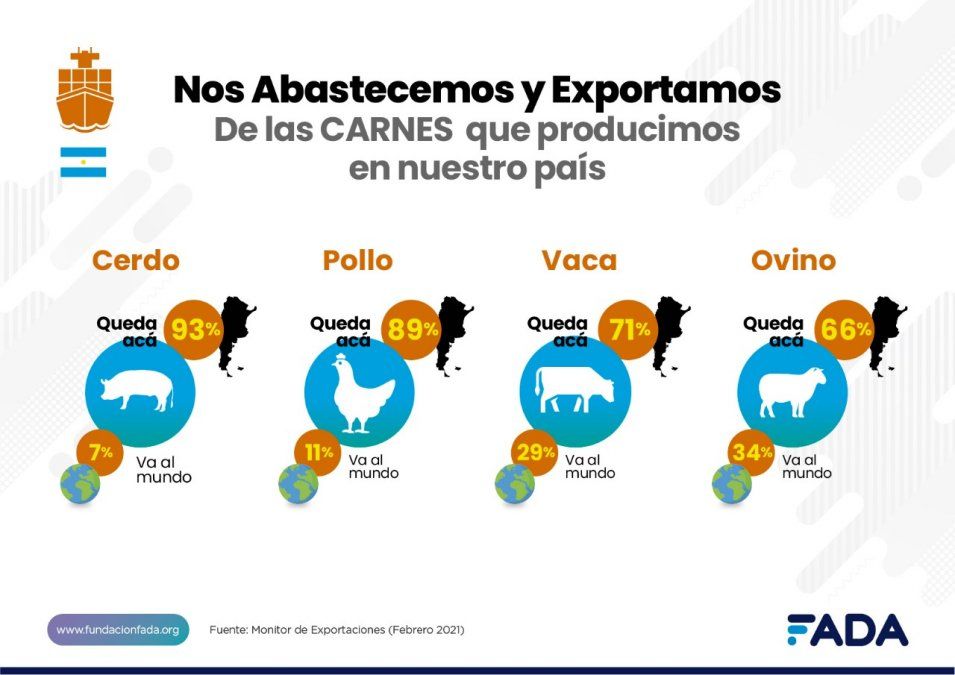 FADA analizó cuánta carne queda en Argentina y cuánta va hacia las exportaciones y genera divisas. 