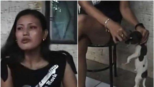 Horror por un video en el que una mujer apaga un cigarrillo en el ojo de un perrito