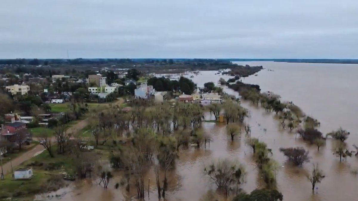 Preocupación en Entre Ríos por la crecida del río Uruguay. (Foto: captura)