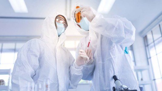 La batalla del in vitro: qué procedimientos y medicamentos se prueban para derrotar al coronavirus