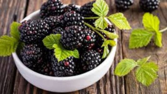 Salud: cuál es la fruta que evita el dolor de rodilla, sus beneficios y cómo consumirla