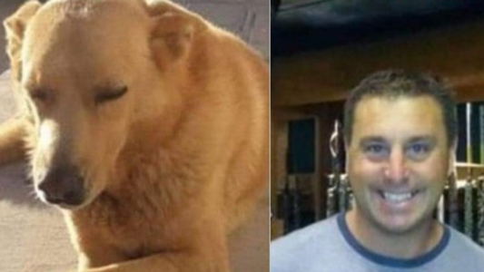 Fallo histórico: condenaron a un año y seis meses de prisión a hombre que torturó y asesinó a un perro