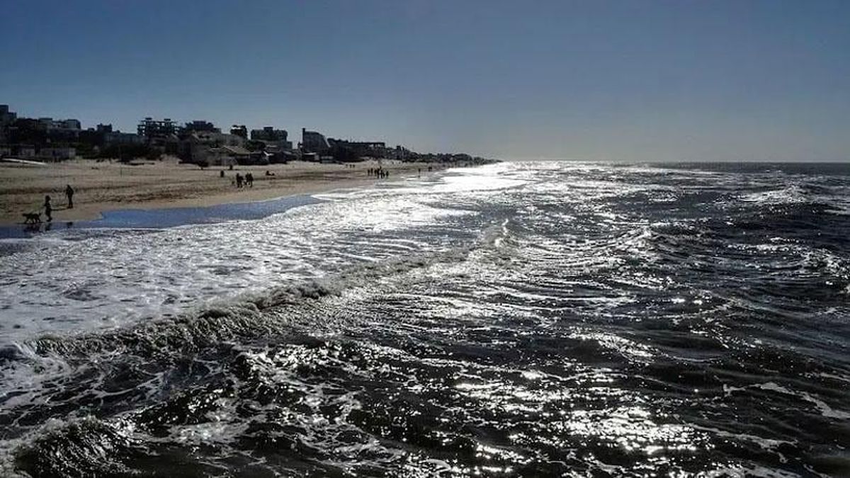 Murió el turista rosarino que había sido golpeado por una ola en Pinamar
