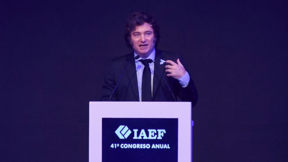 Javier Milei en el IAEF: Ya lo tengo match point a Pedrito. (Foto: captura)