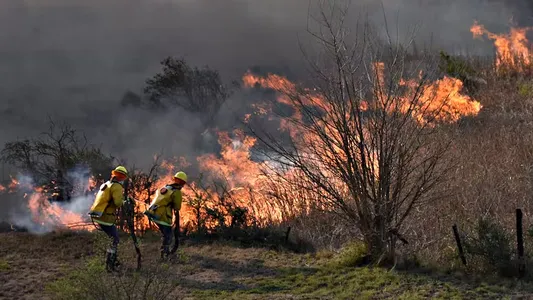 Incendios en Córdoba: las llamas están fuera de control y provocaron un corte en la autopista