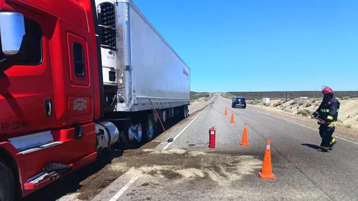 El cami&oacute;n que protagoniz&oacute; el accidente (Foto: El Patag&oacute;nico.