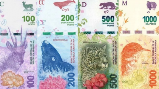 Polémica en el Congreso por el cambio en las imágenes de los billetes