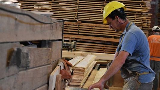 Anses: ¿Quién tiene que devolver el dinero del programa ATP?