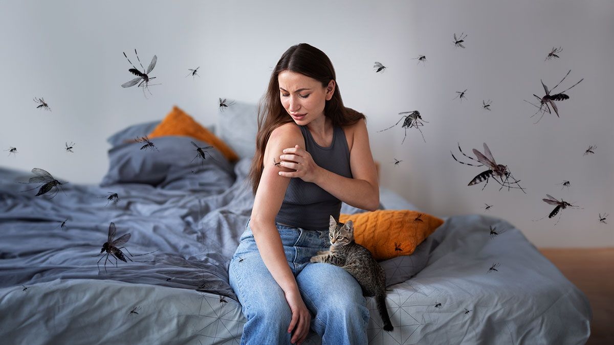 Cómo saber si una picadura de mosquito es de dengue y qué hay que hacer
