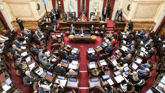 Cuáles son sus puntos más importantes de la Ley Bases que se debate en el Senado