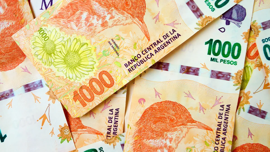 ANSES confirmó un bono para el Programa Más Cultura: cuál es el monto