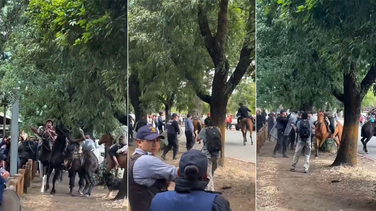 Brutal video: paisanos a caballo atacaron con rebenques a amigos de los detenidos en El Bolsón.
