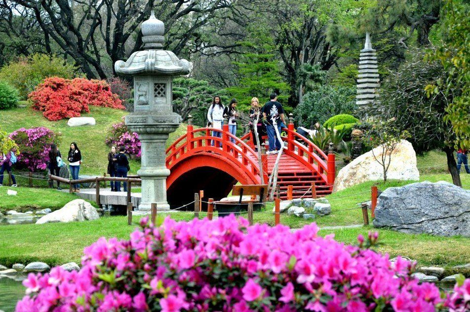 Todo lo que hay para descubrir en el jardín japonés de Buenos Aires