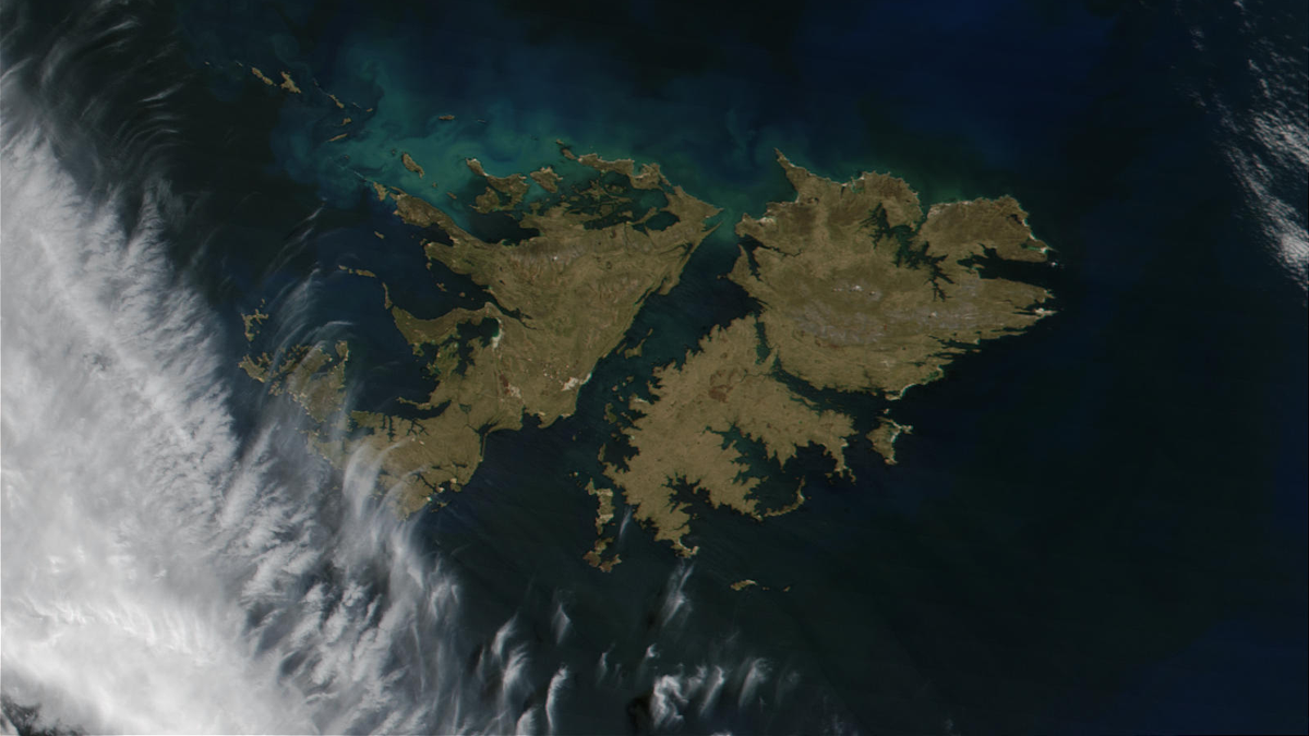 Descubrimiento histórico en las Islas Malvinas que podría cambiar lo que sabemos del territorio