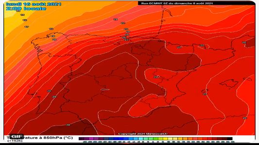 Cambio climático: el 2021 fue el sexto año con las temperaturas más altas desde 1961 en Argentina